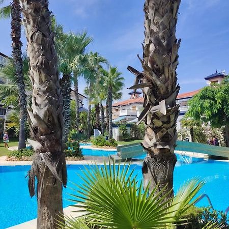 Sunny Apartment Costa Blanca La Mata  Buitenkant foto